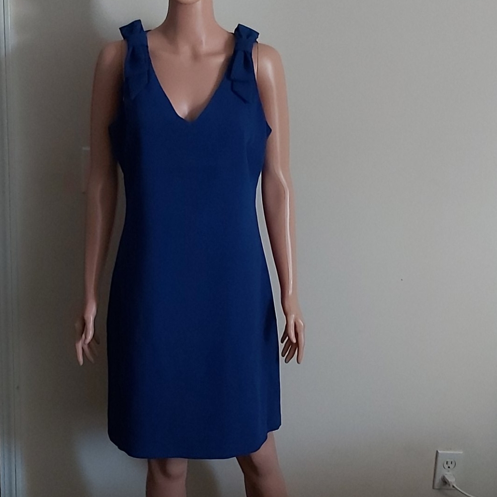 Size 6 Egyptian Blue Sleeveless A-Line Dress